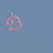Il mystero delle EBANI, gli UFO viventi