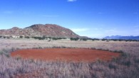 I segreti delle “fate” namibiane I segreti delle “fate” namibiane