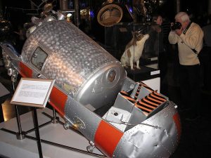 La capsula Korabl-Sputnik 2 e il corpo impagliato di Strelka. Wikimedia.org/Pretenderrs/CC-BY-SA-3.0