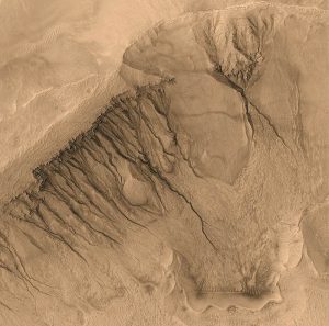 La foto del Mars Global Surveyor che mostra i canali che si crede possano essere stati creati dallo scorrere dell'acqua. L'area della foto copre circa 1.500 metri quadrati di superficie del pianeta (credit: Pubblico Dominio)